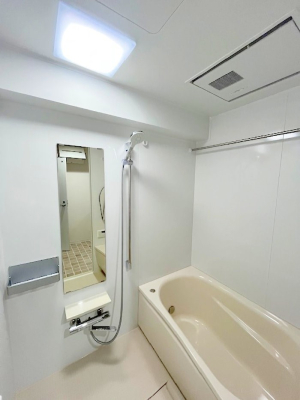 ���̑� ����