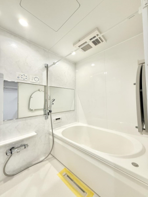 ���� �������������A������芰����o�X���[��