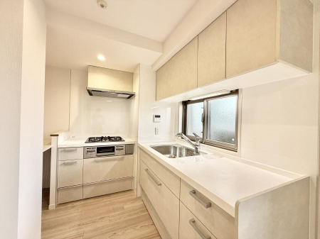 �L�b�`�� �������L���C�ɕЕt���A�g���₷���L�b�`��