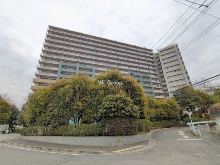 ���n�O�ώʐ^ �O��