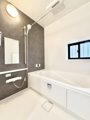 ���� �����������������F�����̕ǖʁA������芰����o�X���[��