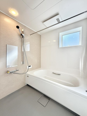 ���� �����������F�����̕ǖʁA�������A������芰����o�X���[���B  