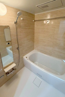 ���� �����������F�����̕ǖʁA�������A������芰����o�X���[���B