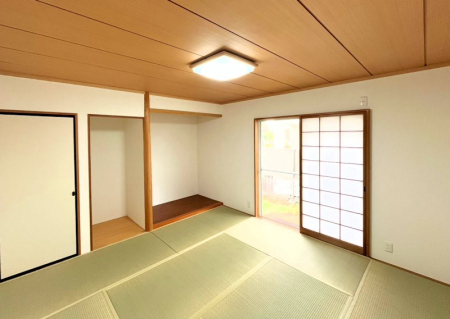 ���̑����� ����