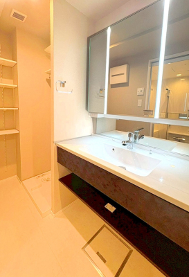 ���ʑ�E���ʏ� ���������̏������X���[�Y�ɂł���L���ł�