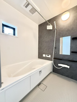 ���� �����������F�����̕ǖʁA�������A������芰����o�X���[���B