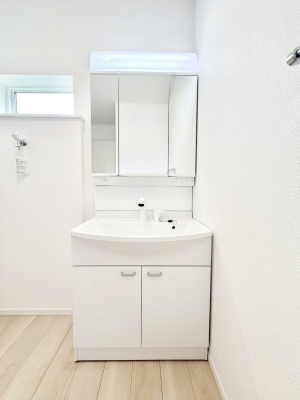 ���ʑ�E���ʏ� ���������̏������X���[�Y�ɂł���L���ł�