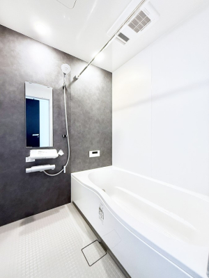 ���� �����������������F�����̕ǖʁA������芰����o�X���[��