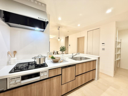 ���̑� ����