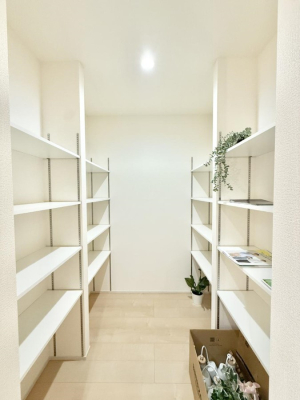 ���̑� ����