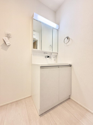 ���ʑ�E���ʏ� ���������̏������X���[�Y�ɂł���L���ł�