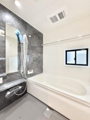 ���� �����������F�����̕ǖʁA������芰����o�X���[��