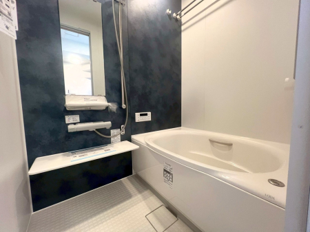 ���� �����������������F�����̕ǖʁA������芰����o�X���[��