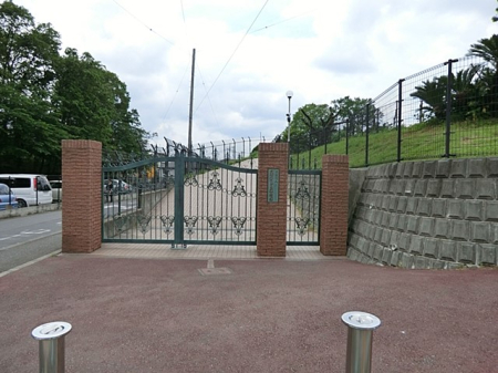 ���ӊ� �c�t���E�ۈ牀 600m ��a�݂ǂ肪�u�c�t��