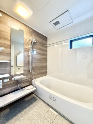 ���� �����������F�����̕ǖʁA������芰����o�X���[��