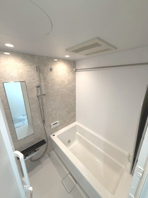 ���� �����������F�����̕ǖʁA������芰����o�X���[��