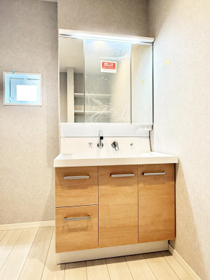 ���ʑ�E���ʏ� ���������̏������X���[�Y�ɂł���L���ł�