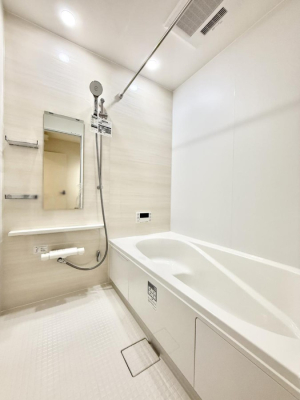 ���� �����������������F�����̕ǖʁA������芰����o�X���[��