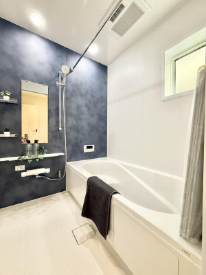 ���� �����������������F�����̕ǖʁA������芰����o�X���[��