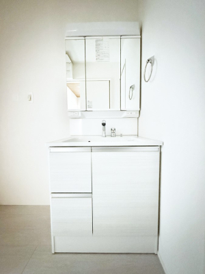 ���ʑ�E���ʏ� �������������Ő������̂�����ʏ�