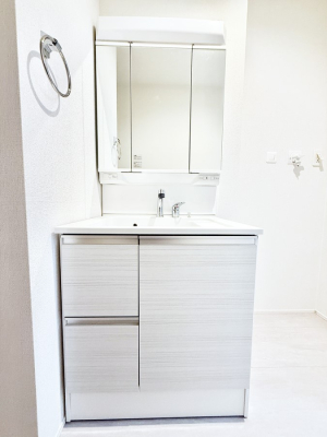 ���ʑ�E���ʏ� ���������̏������X���[�Y�ɂł���L���ł�