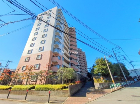 ���n�O�ώʐ^ �O�ρ���؂Ȏ��Ԃ����K�ɉ߂�������