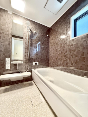 ���� �����������������F�����̕ǖʁA������芰����o�X���[��