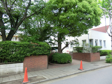 ���ӊ� �c�t���E�ۈ牀 2000m ���܂���c�t��