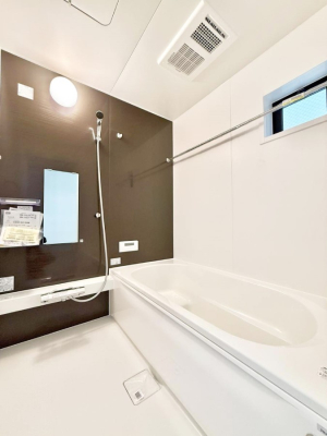 ���� �����������F�����̕ǖʁA�������A������芰����o�X���[���B  