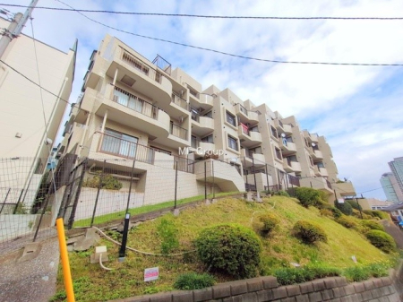 ���n�O�ώʐ^ �O�ρ�������E�z������E���]�E���ʂ��ǍD�I