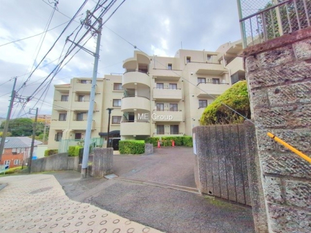 ���n�O�ώʐ^ �O�ρ��e���X�t���Ńy�b�g�ƈꏏ�ɕ�点�܂��i�ב��L�j�I