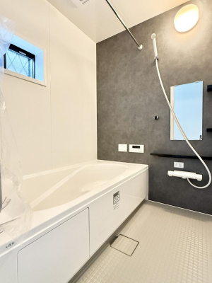 ���� �����������������F�����̕ǖʁA������芰����o�X���[��