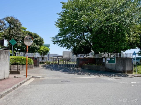 ���ӊ� ���w�Z 800m ���؎s���Δ����w�Z