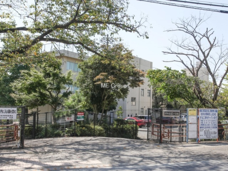 ���ӊ� ���w�Z 800m �C�V���s���㐯���w�Z