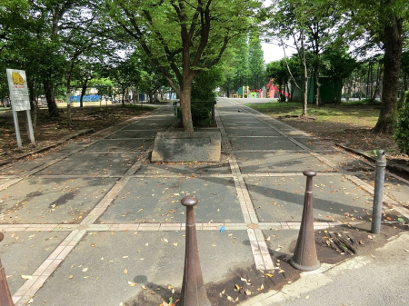 ���ӊ� �c�t���E�ۈ牀 470m ����ۈ牀