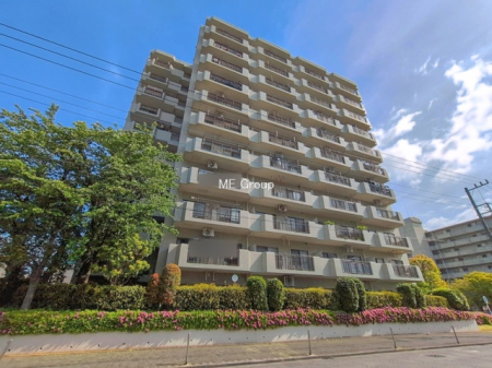 ���n�O�ώʐ^ ���܂��͈�x������������