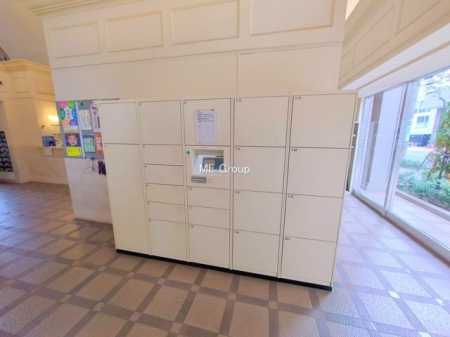 ���ӊ� �w 240m ���c�}�d�S�u���c�}���͌��v�w