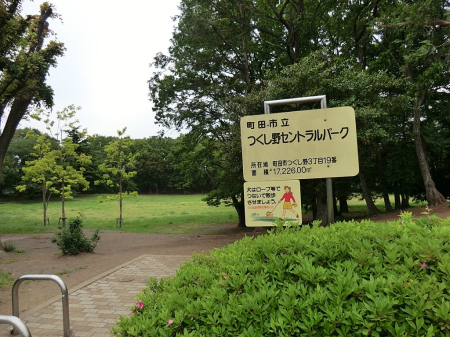 ���ӊ� ���� 650m ������Z���g�����p�[�N