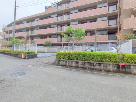 ���n�O�ώʐ^ �O��