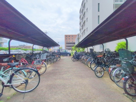 ���̑� �O��