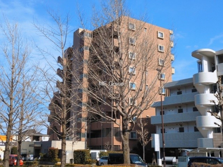 ���n�O�ώʐ^ �O��