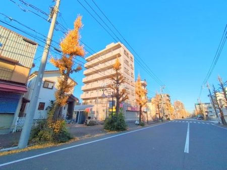 ���n�O�ώʐ^ �O��