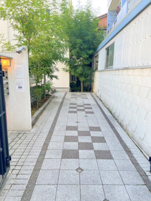 �G���g�����X �O�ρ� �V���v���Ŕ������A���K�ȕ�炵�̓����