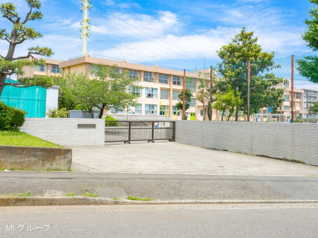 ���ӊ� ���w�Z 800m ����s����돬�w�Z