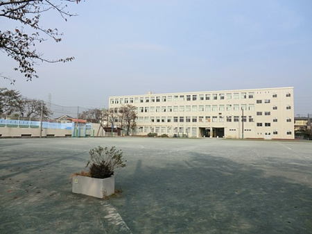 ���ӊ� ���w�Z 560m ���l�s�����쏬�w�Z