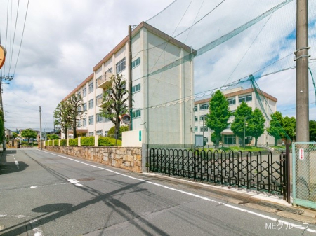 ���ӊ� ���w�Z 350m �����q�s���掵���w�Z