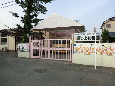 ���ӊ� �c�t���E�ۈ牀 961m �����̂����悤������