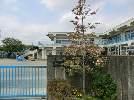���ӊ� �c�t���E�ۈ牀 885m ���ۈ牀