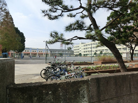 ���ӊ� ���w�Z 400m ���l�s������]���u���w�Z