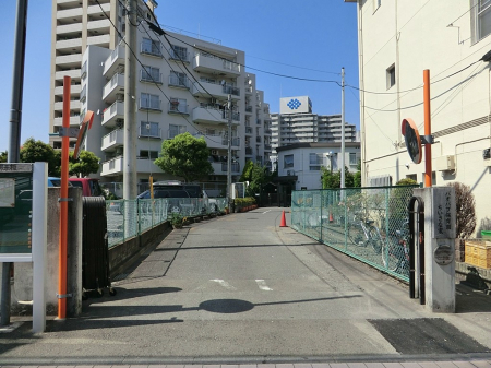 ���ӊ� �c�t���E�ۈ牀 500m �o�I�o�u�ۈ牀